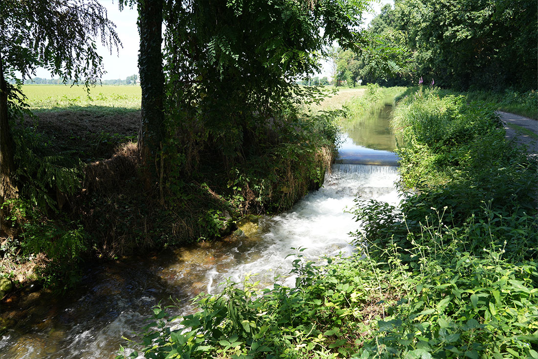 parco sud 03